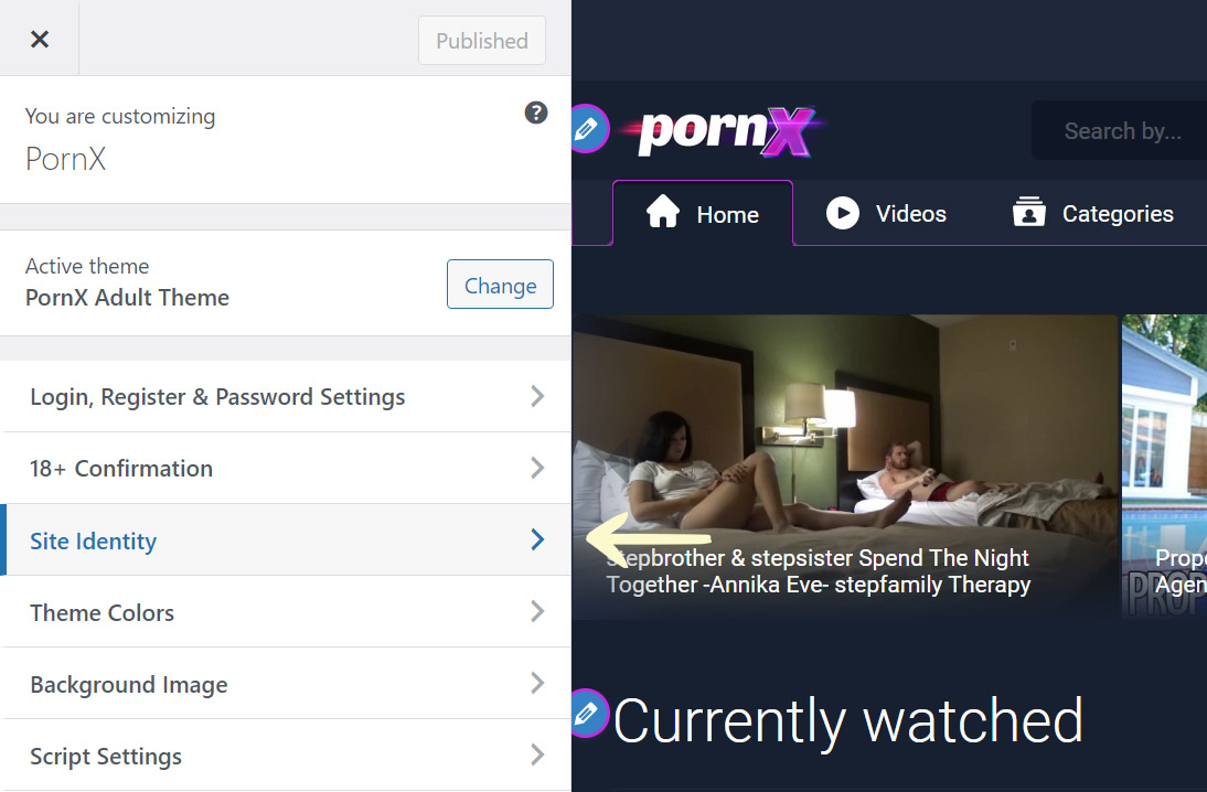 PornX Theme Customizer