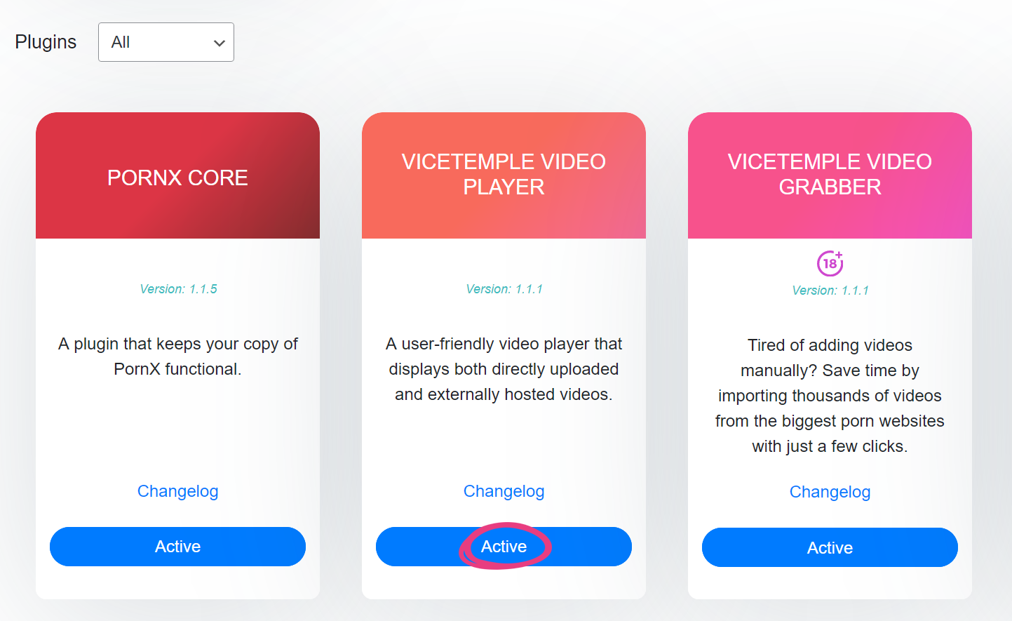 Vicetemple Video Player