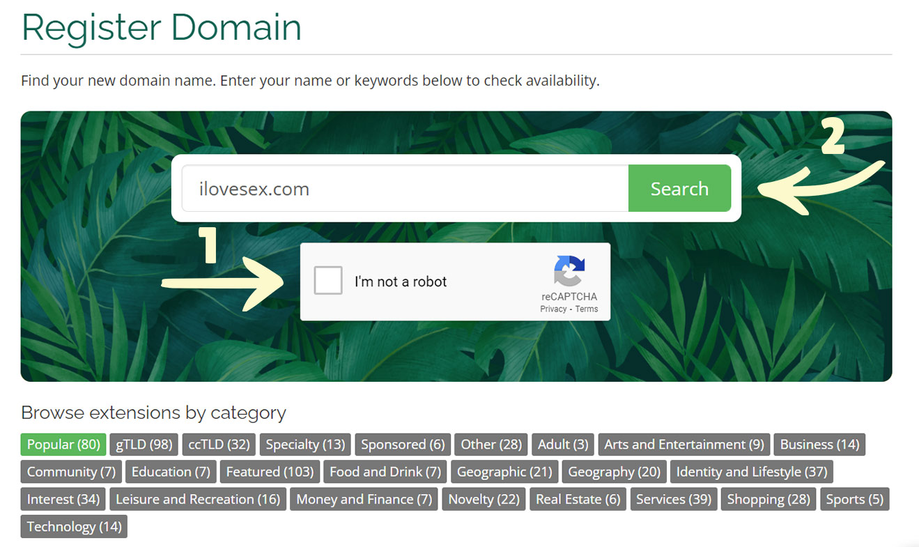 How To Order A New Domain - 02 Register Domain