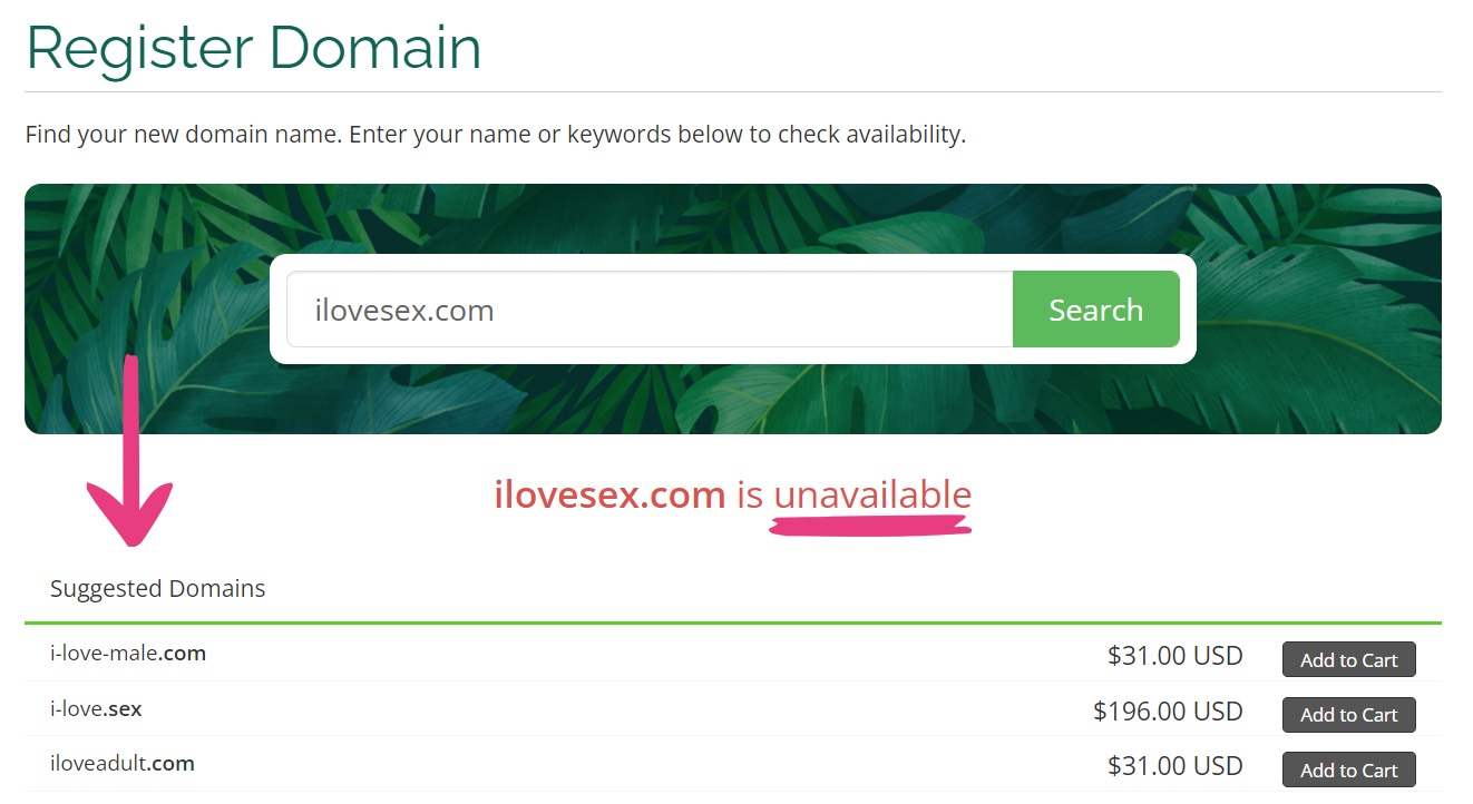 How To Order A New Domain - 03 Unavailable Domain