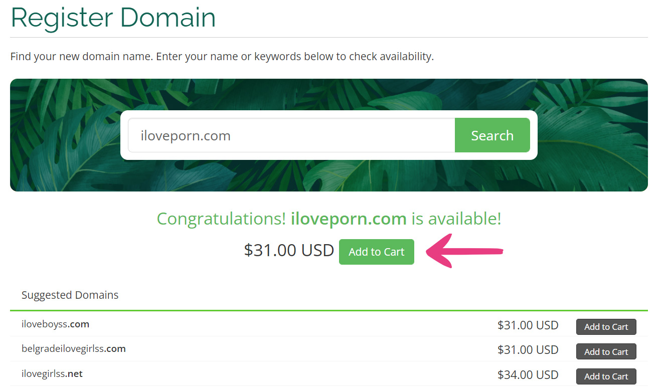How To Order A New Domain - 04 Register Domain Add To Cart