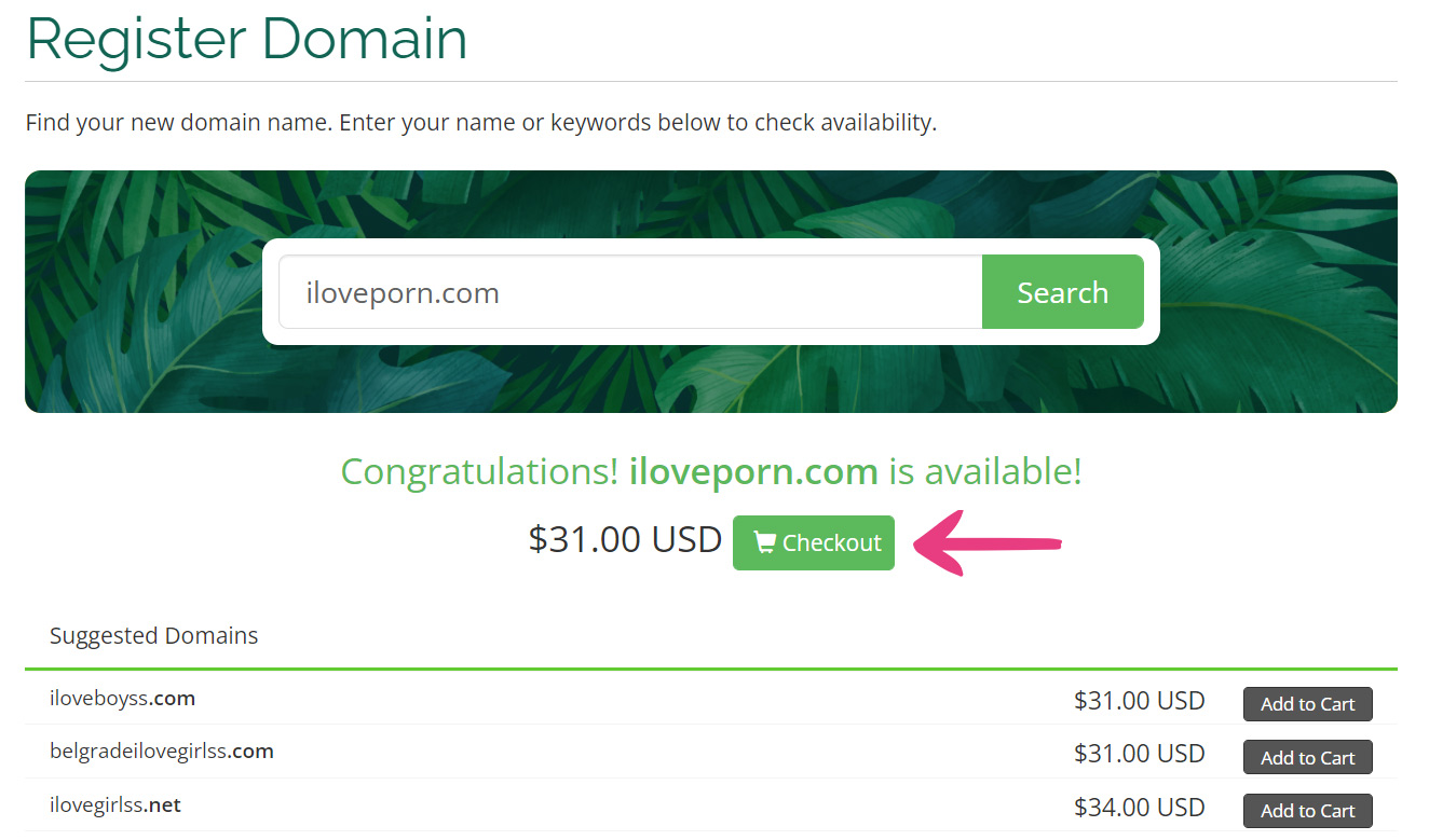 How To Order A New Domain - 05 Register Domain Checkout