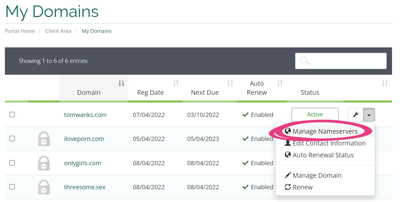 How To Set Up CloudFlare - 11 Vicetemple Domain Manage Nameservers