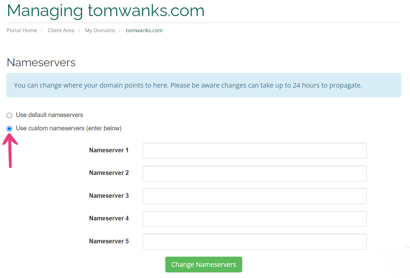 How To Set Up CloudFlare - 12 Vicetemple Nameservers