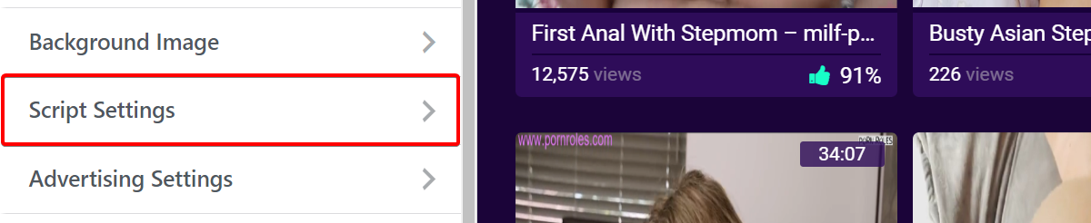 PornX Script Settings
