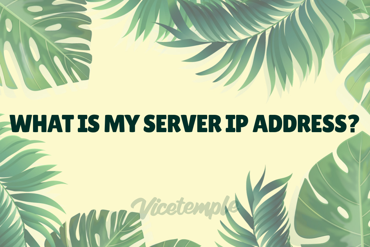 What Is My Server IP Address? Vicetemple