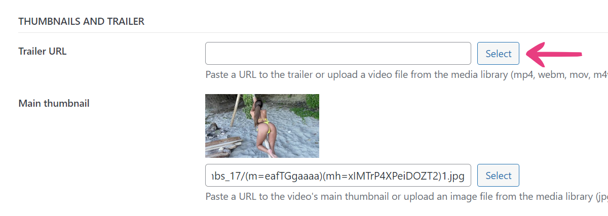 PornX Paste Trailer URL