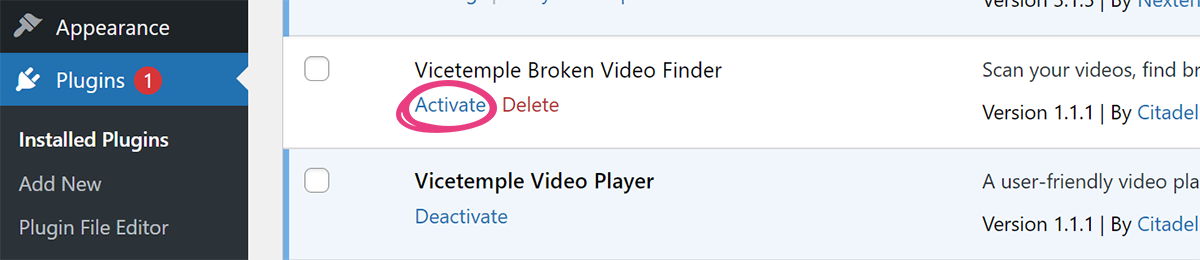 Broken Video Finder - 05 Plugins Activate