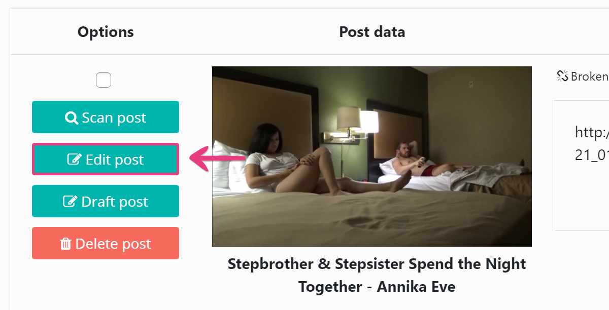 Broken Video Finder - 12 Edit Post