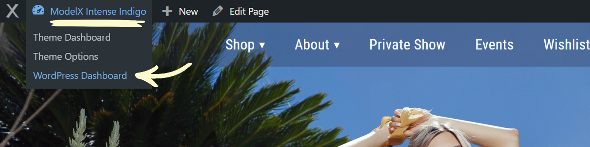 Edit Menu ModelX - 02 WordPress Dashboard