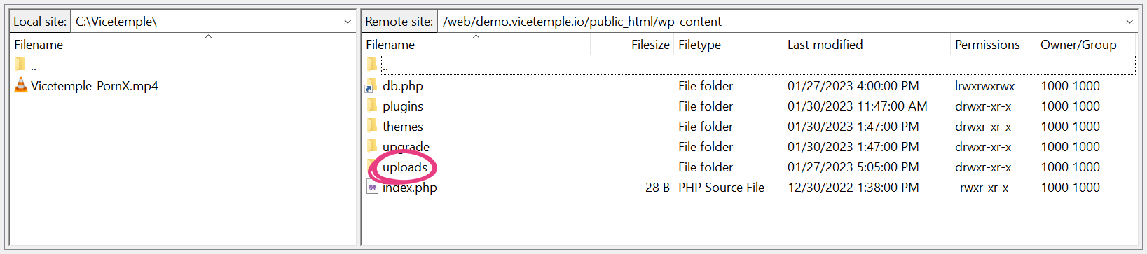 FTP Uploads Folder